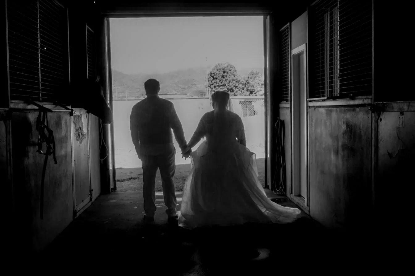 Wedding couple silhouette walking hand in hand